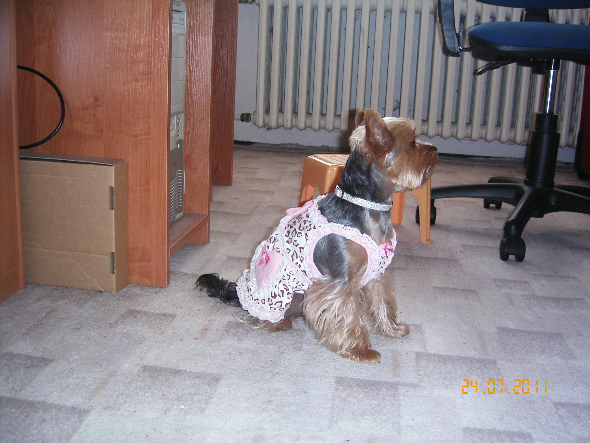 Aleš 2011 rybaření 005