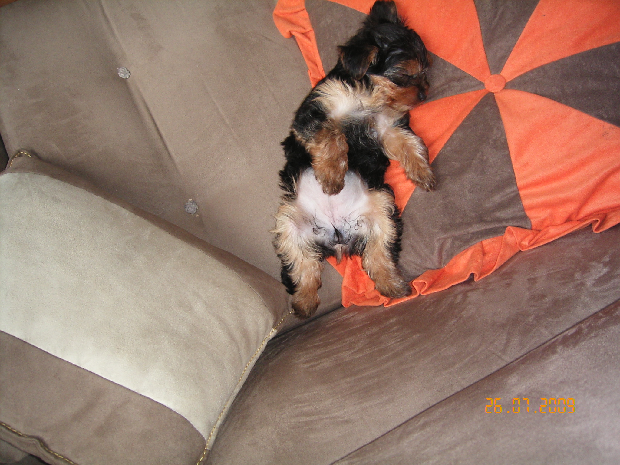 1.8.2009 ROXA 001