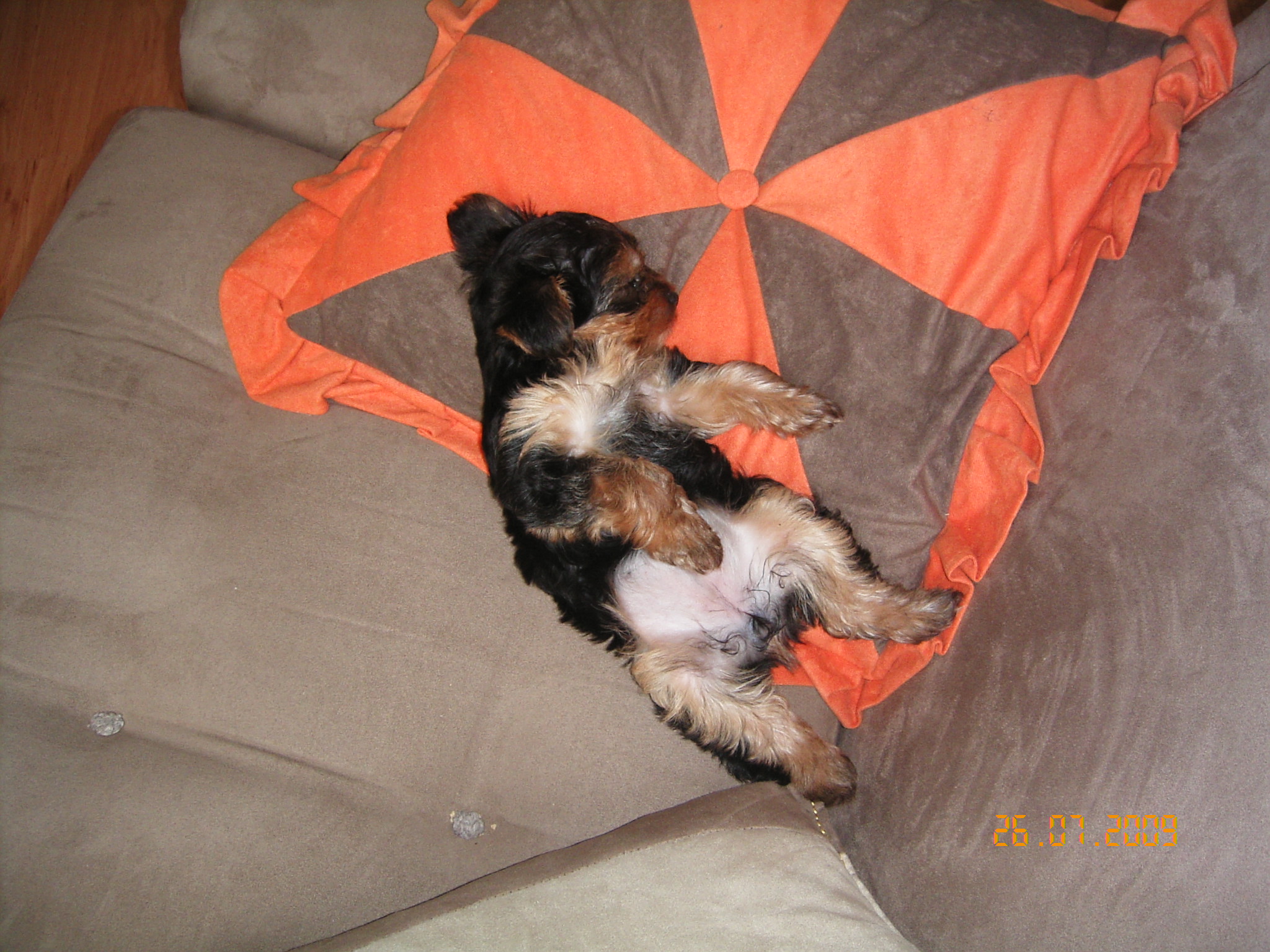 1.8.2009 ROXA 002