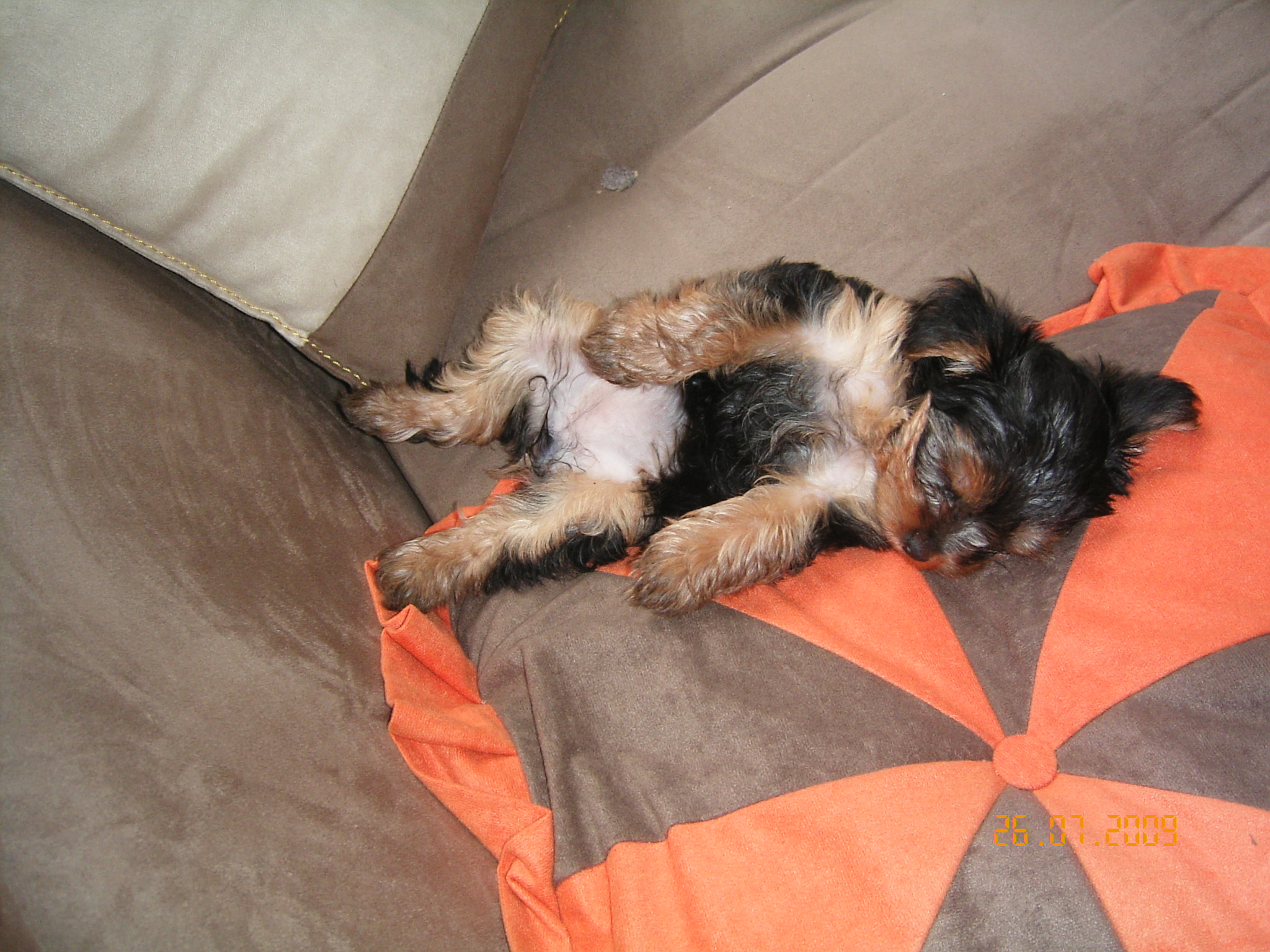 1.8.2009 ROXA 003