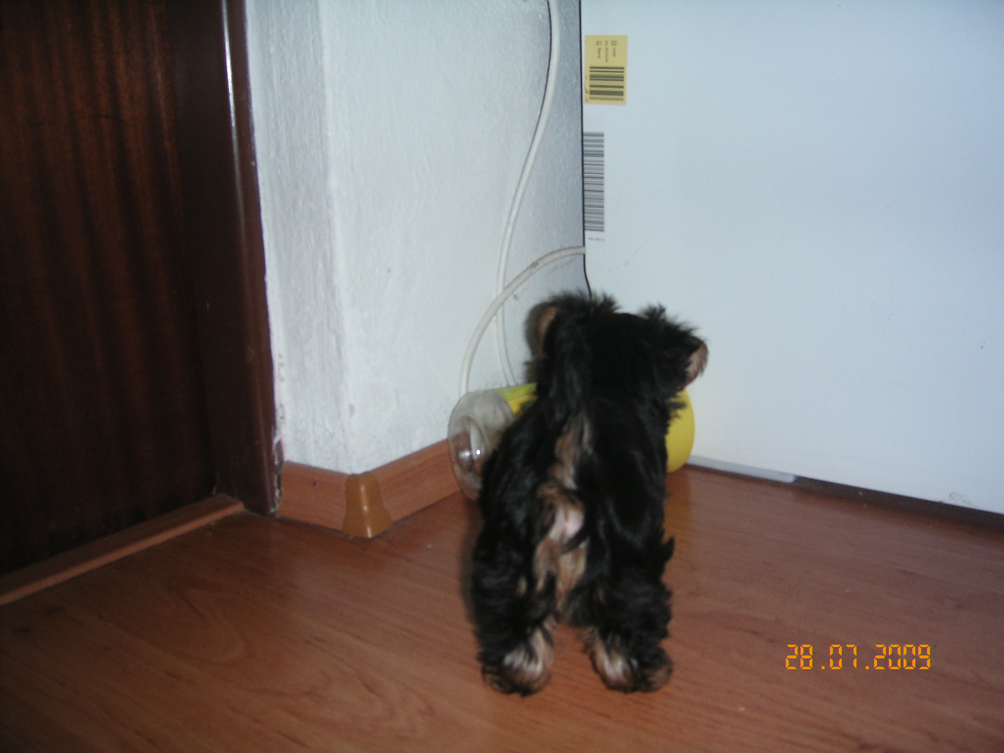 1.8.2009 ROXA 007
