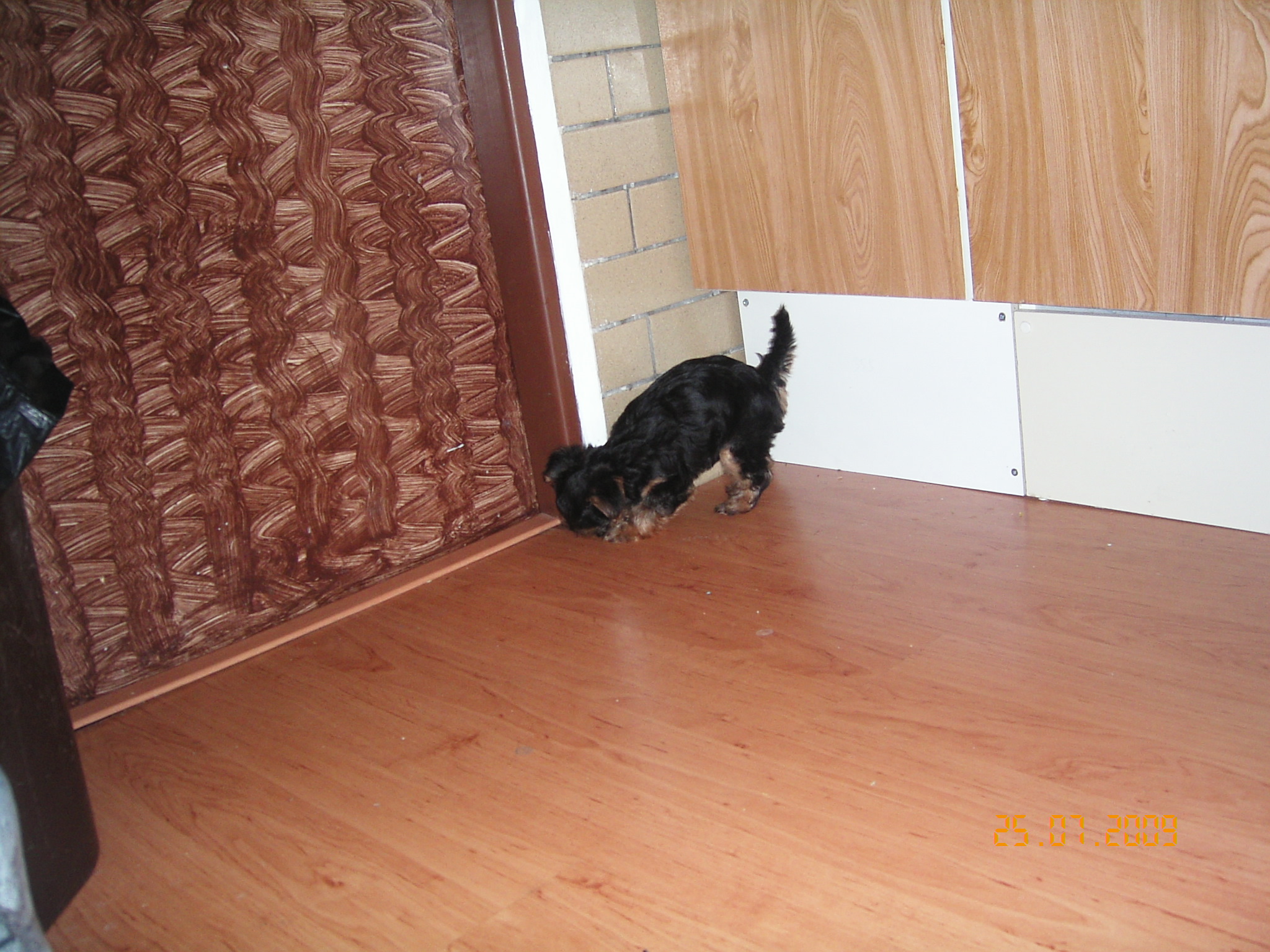 1.8.2009 ROXA 012