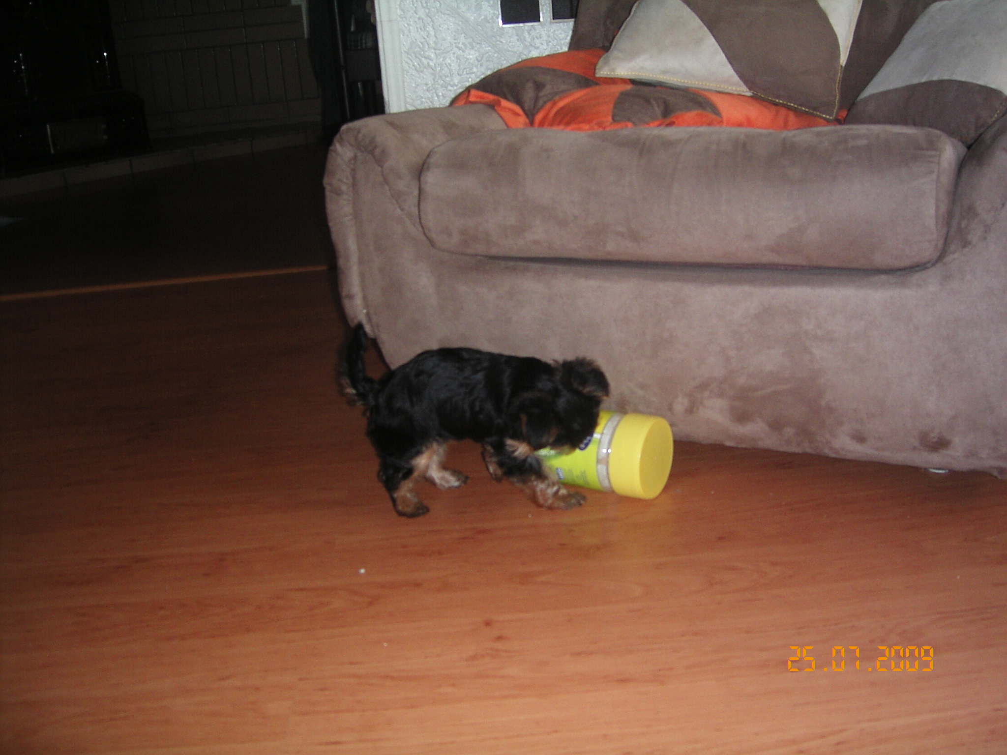 1.8.2009 ROXA 014