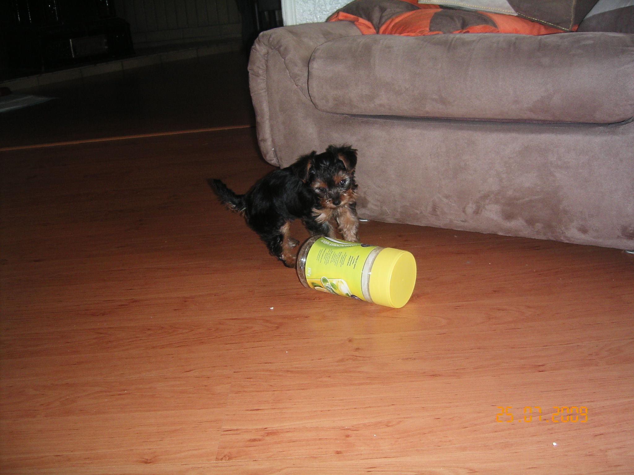1.8.2009 ROXA 015