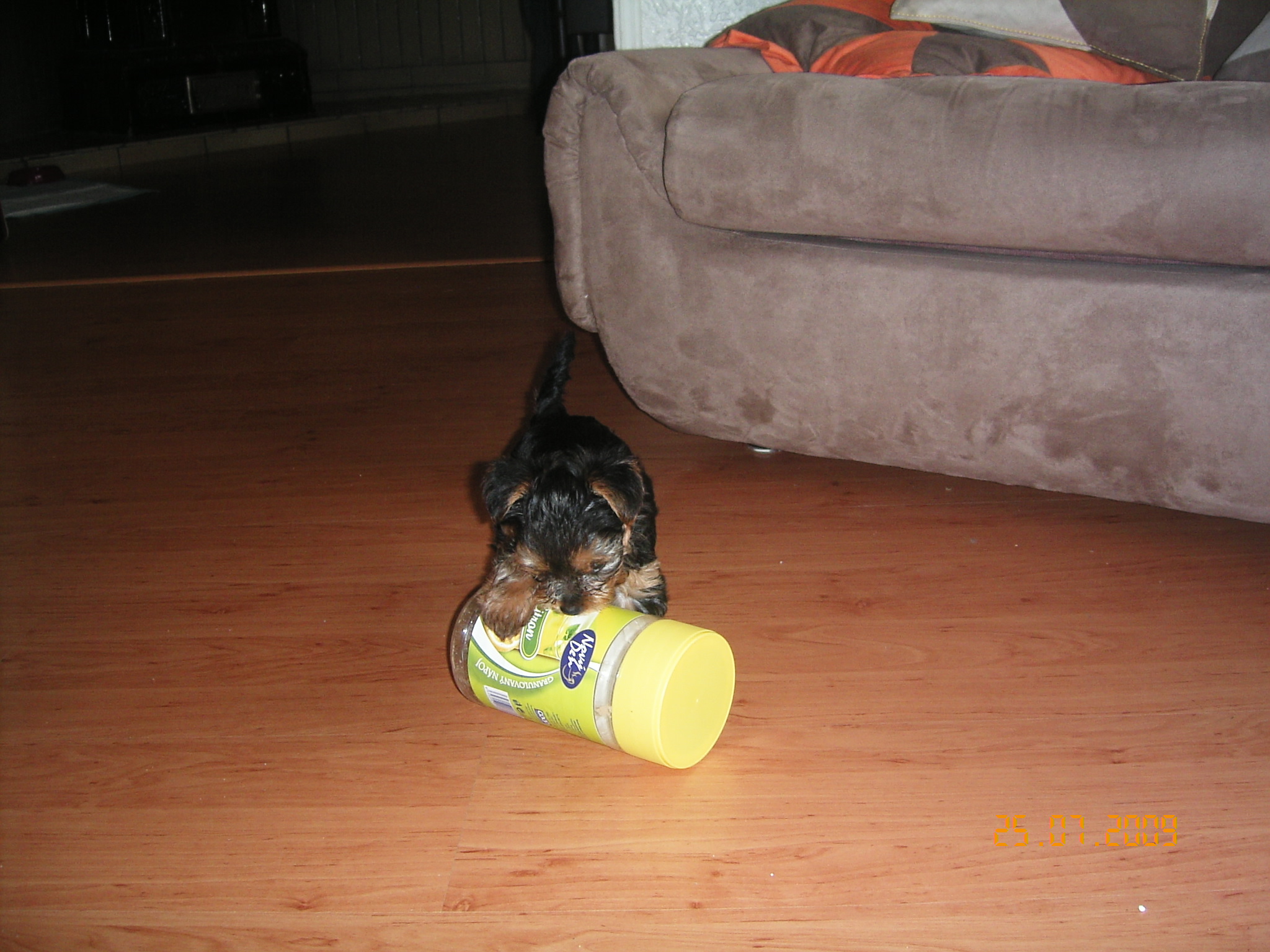 1.8.2009 ROXA 016