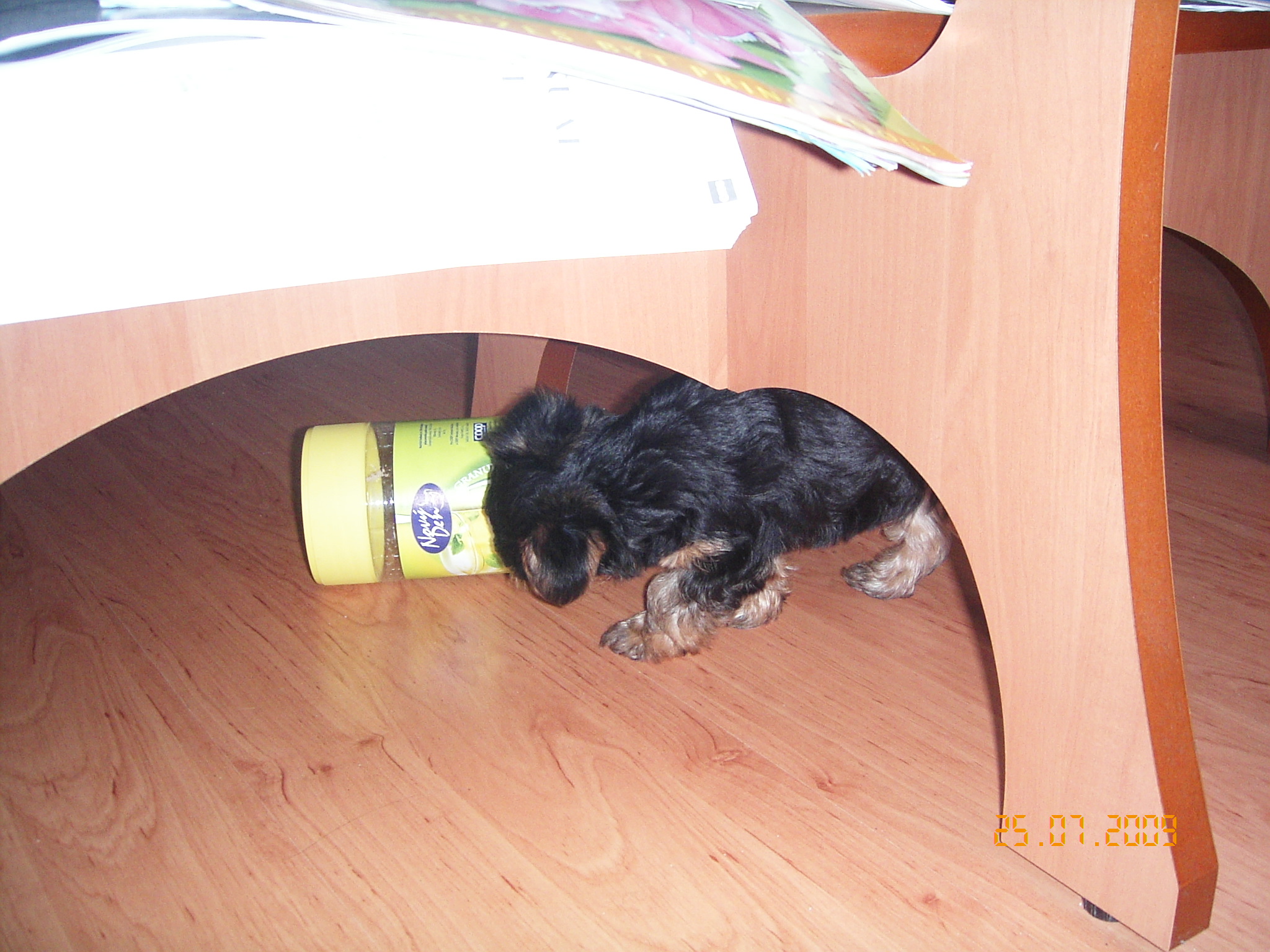 1.8.2009 ROXA 020