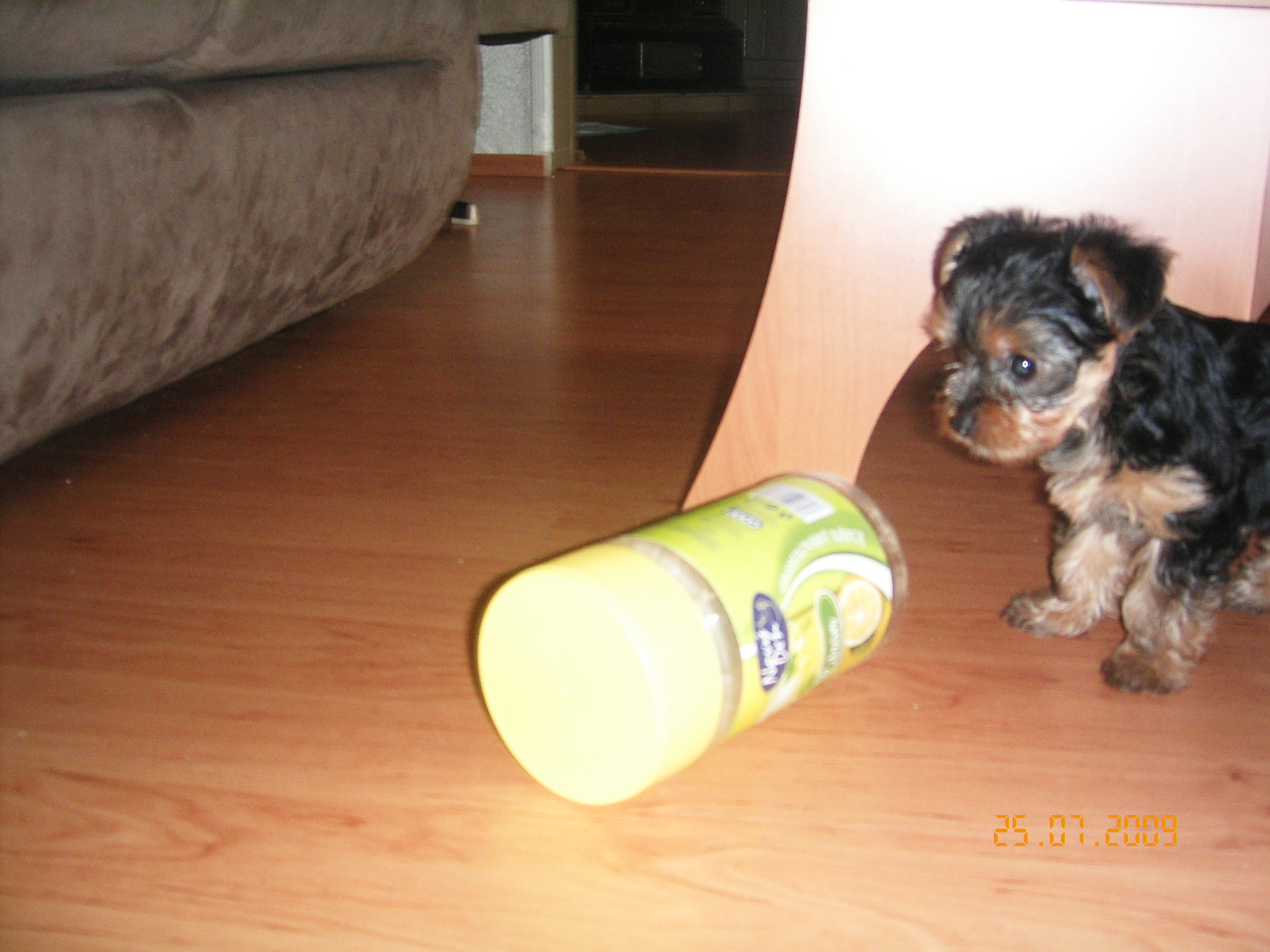 1.8.2009 ROXA 021