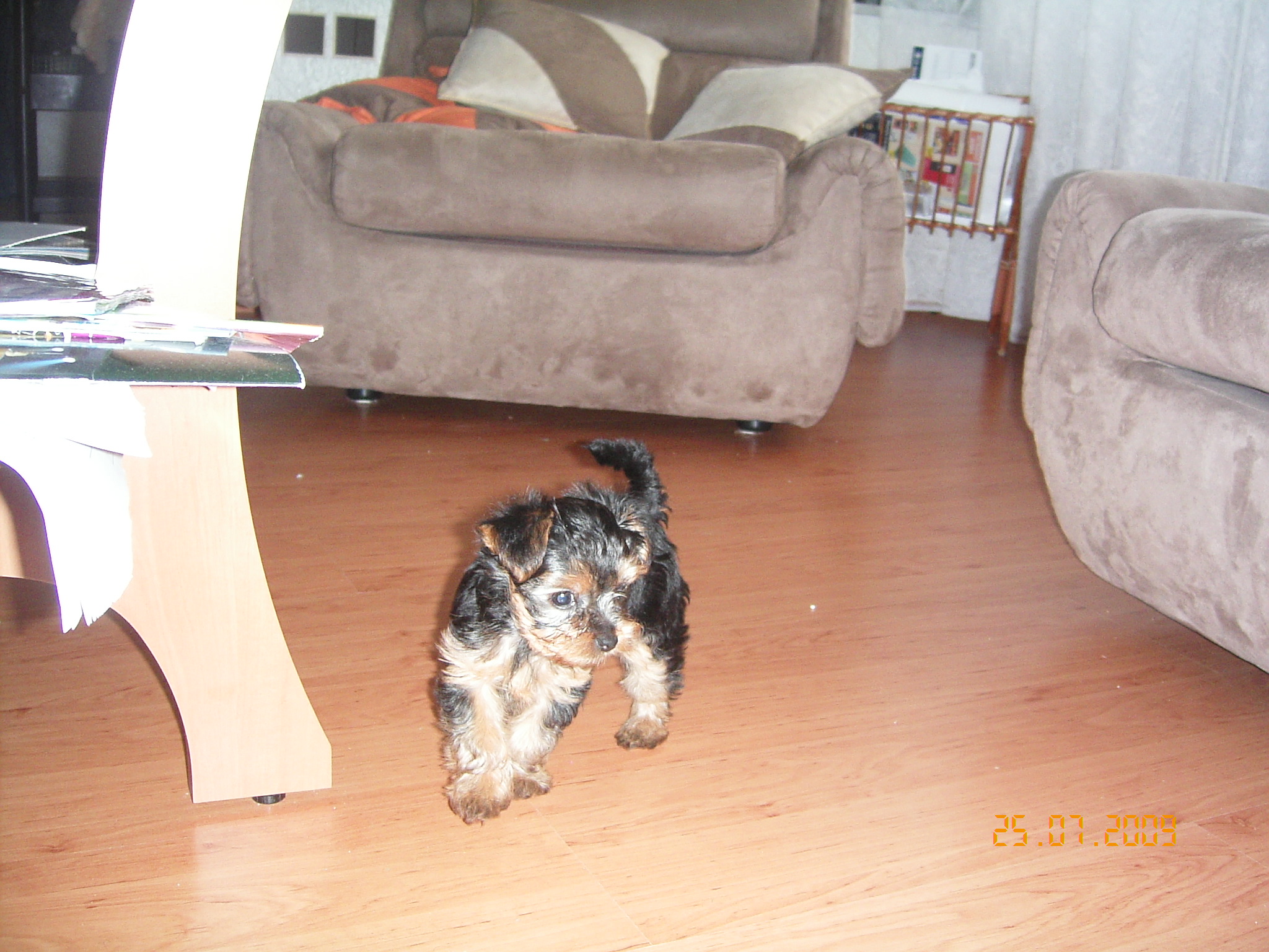 1.8.2009 ROXA 022