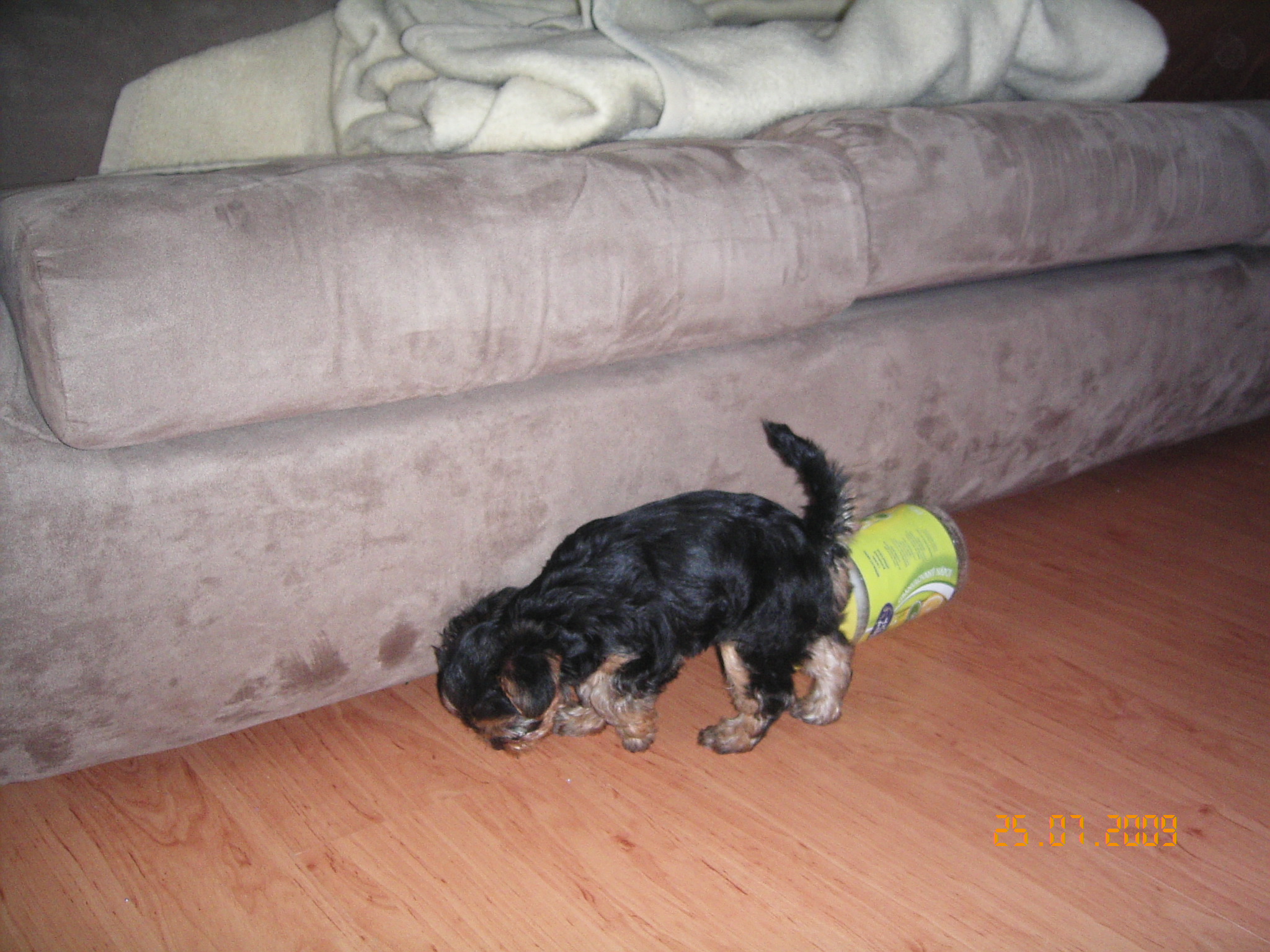 1.8.2009 ROXA 024