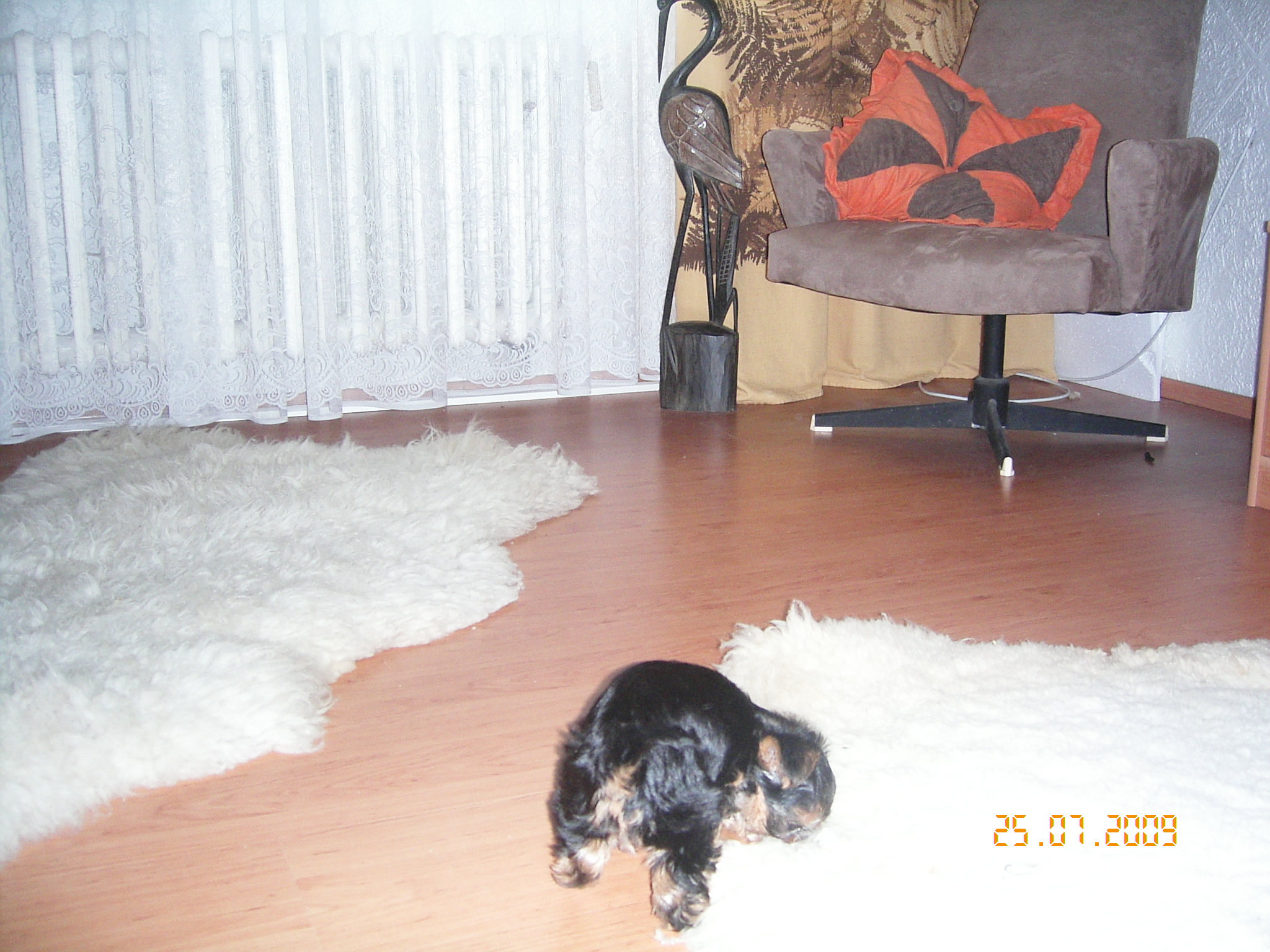 1.8.2009 ROXA 026