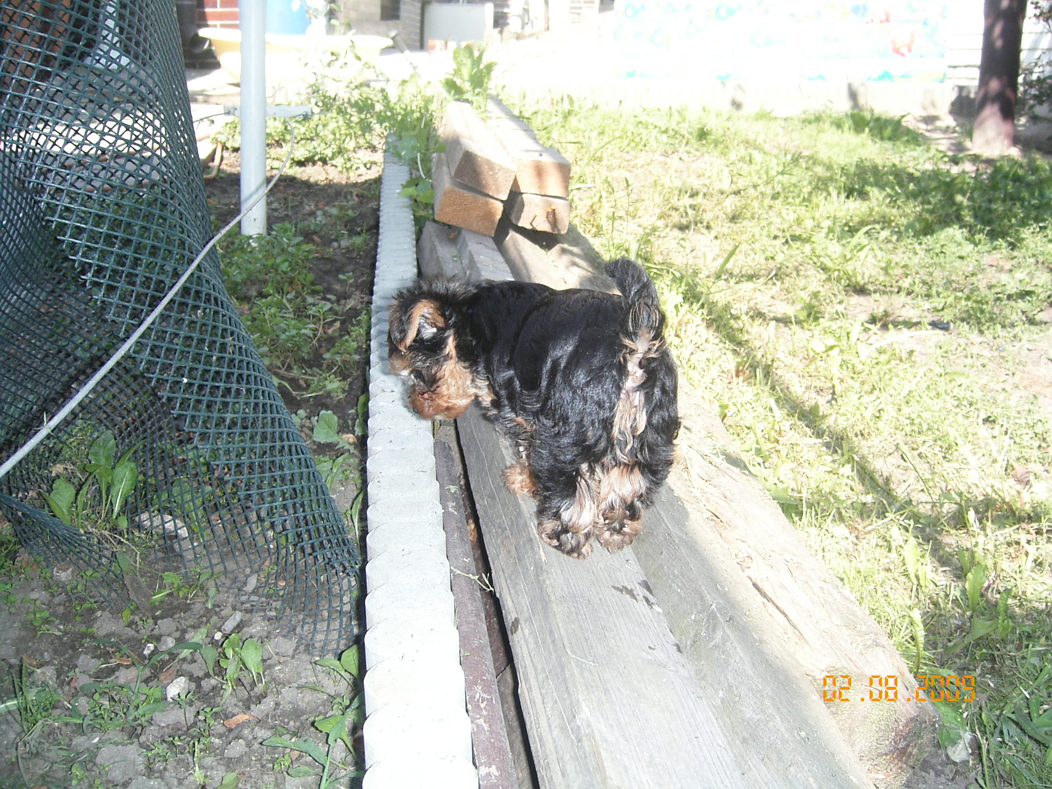 1.8.2009 ROXA 034