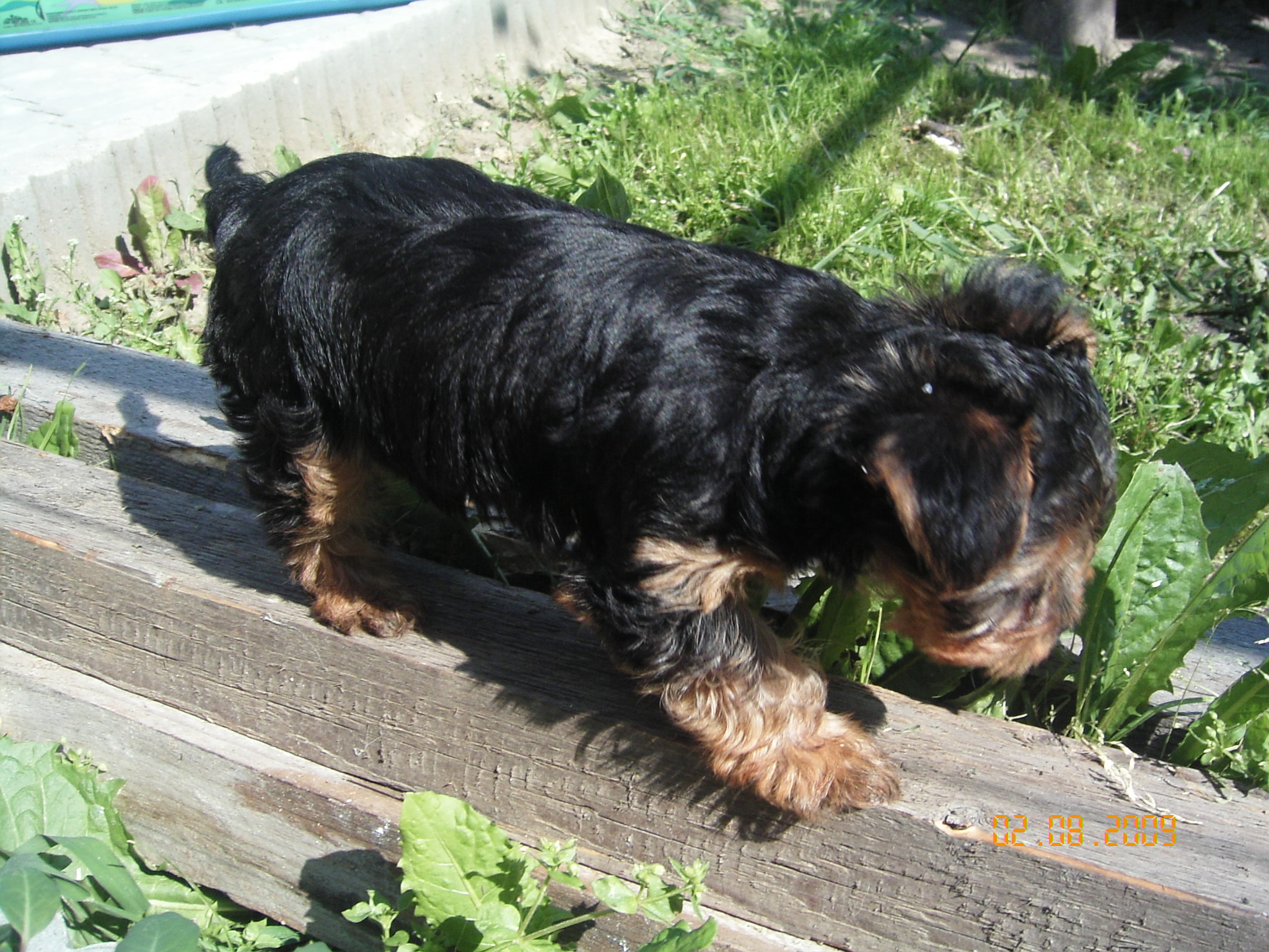 1.8.2009 ROXA 037