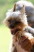 (10)DSC09889