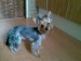 Obraz029