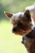 (174)DSC09887