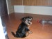 1.8.2009 ROXA 004