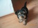 1.8.2009 ROXA 008