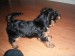1.8.2009 ROXA 009