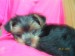 1.8.2009 ROXA 028