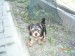 1.8.2009 ROXA 035