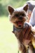 (9)DSC09884